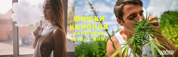 ГАЛЛЮЦИНОГЕННЫЕ ГРИБЫ Чекалин