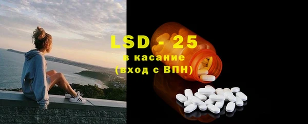 ГАЛЛЮЦИНОГЕННЫЕ ГРИБЫ Чекалин