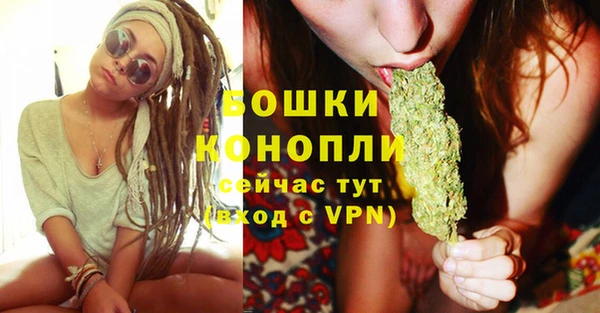 ГАЛЛЮЦИНОГЕННЫЕ ГРИБЫ Чекалин