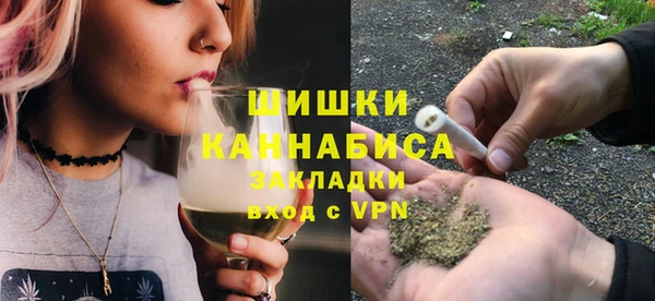 ГАЛЛЮЦИНОГЕННЫЕ ГРИБЫ Чекалин
