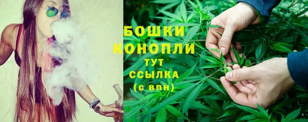 ГАЛЛЮЦИНОГЕННЫЕ ГРИБЫ Чекалин