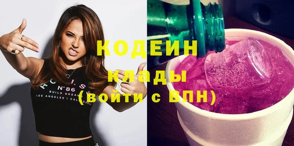 ГАЛЛЮЦИНОГЕННЫЕ ГРИБЫ Чекалин