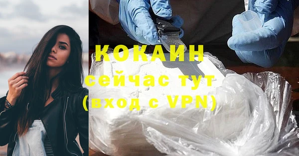 ГАЛЛЮЦИНОГЕННЫЕ ГРИБЫ Чекалин