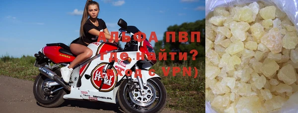 ГАЛЛЮЦИНОГЕННЫЕ ГРИБЫ Чекалин