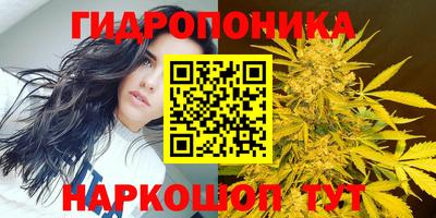 a pvp Волгодонск