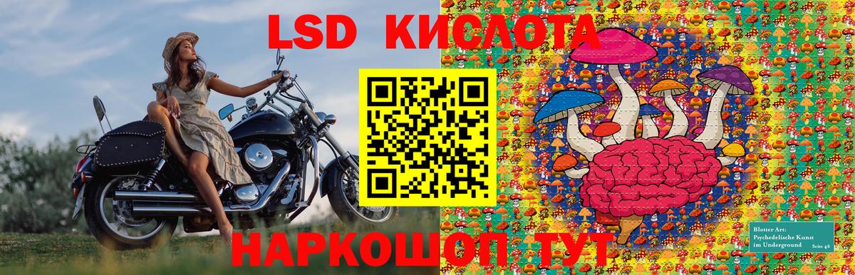 Марки NBOMe  Марки NBOMe 1,5мг  Вход с VPN  Марки NBOMe 1,5мг  Камышин 
