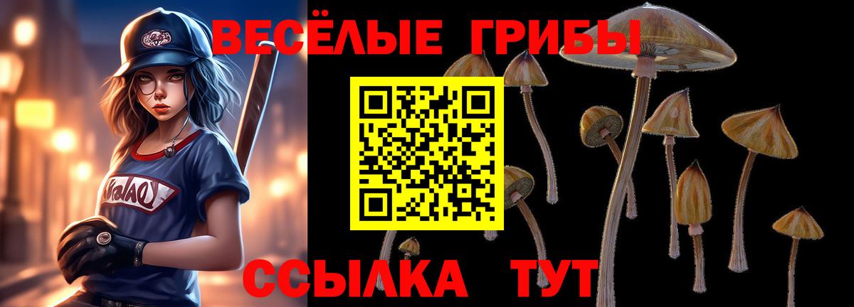 Псилоцибиновые грибы Psilocybine cubensis  Вход с VPN  Камышин 