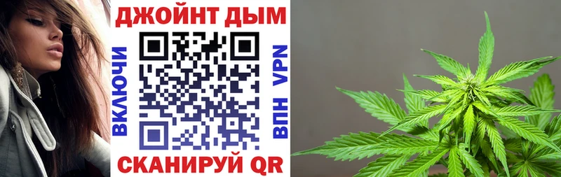 Бошки марихуана Amnesia  hydra ссылки  Камышин 