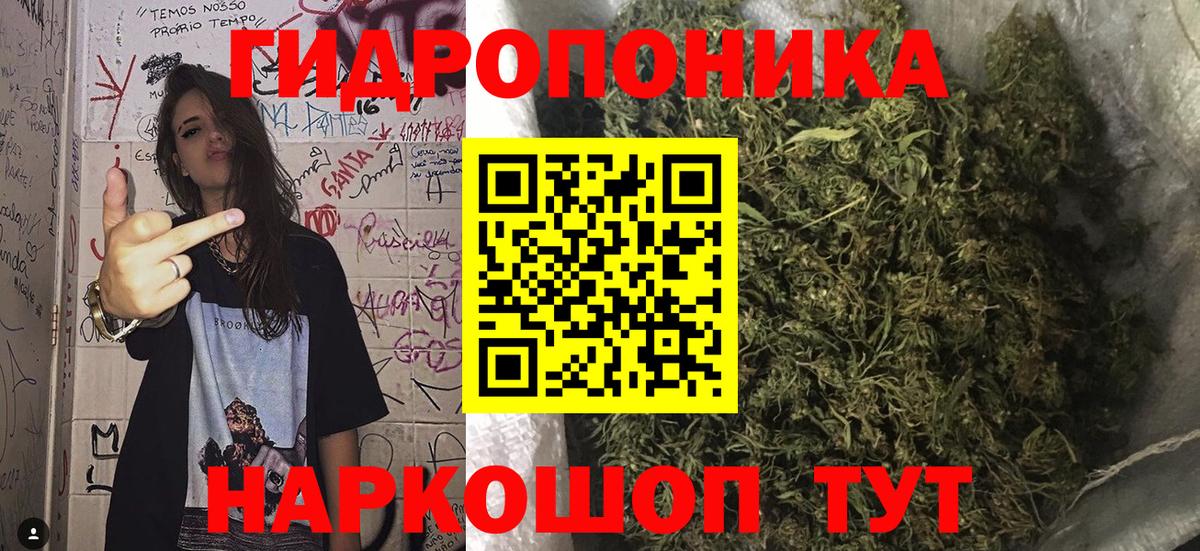 Конопля LSD WEED  Бошки Шишки VHQ  Вход с VPN  Каннабис LSD WEED  Камышин 